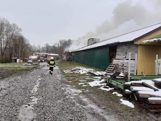 Ołpiny. Pożar w zakładzie produkcyjnym. Zagrożone były budynki mieszkalne