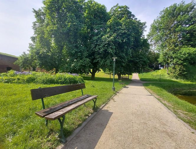 Park Miejski w Zamościu