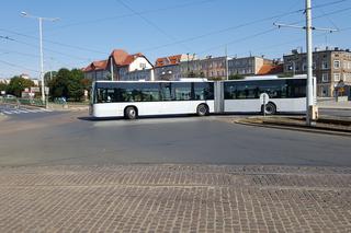 Pierwszy kurs autobusu przegubowego w Grudziądzu