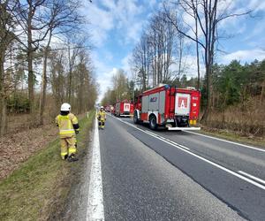 Pod Lubienią dachowało auto osobowe. Jedna osoba poszkodowana