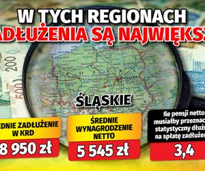 W tych regionach zadłużenia są największe