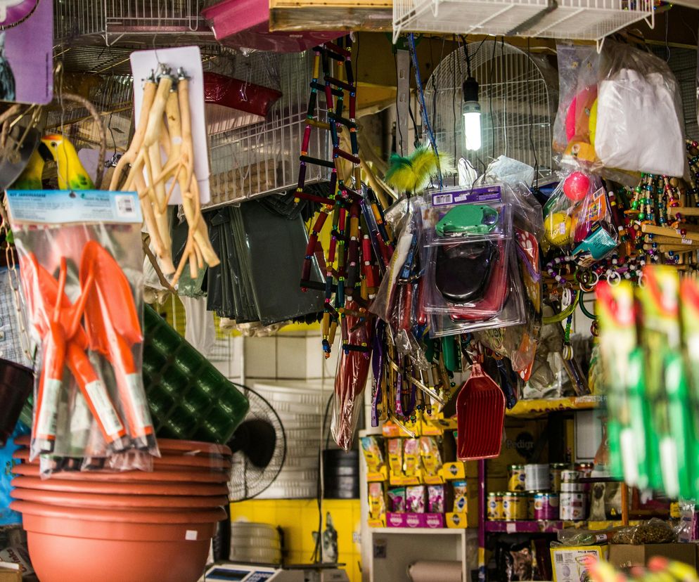 „Sklep zoologiczny” widmo i służbowe konto w banku. O mały włos nie dała się nabrać