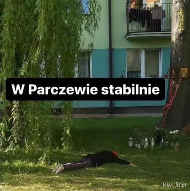 Buzię widzę w tym drzewiu i wiele innych. Tak śmieją się z woj. lubelskiego! Zobacz MEMY