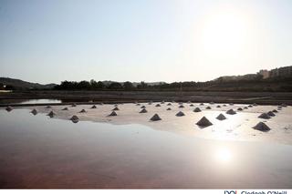 Muzeum Soli na Malcie