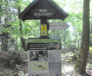 Świętokrzyska Kalwaria - droga z Nowej Słupi na Święty Krzyż
