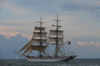 ParadaZagleGdyni2014_FotMZwierz_710329