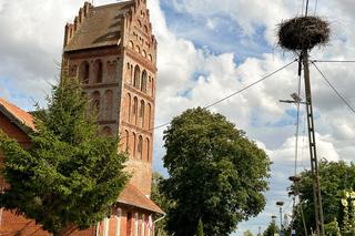 Orły plądrują wieś z jej skarbów. Żarłoczne ptaki nie mają litośc