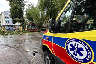 Drzewo przewróciło się na miejski autobus. Są osoby poszkodowane