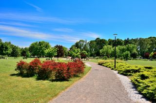 To najładniejsza nazwa miasta w Świętokrzyskiem zdaniem sztucznej inteligencji. „Brzmi melodyjnie”