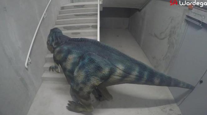 SA Wardęga, Jurassic World Dinosaurs Prank
