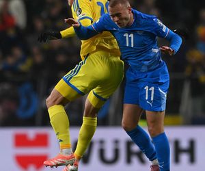 Transparenty na meczu Ukraina - Islandia