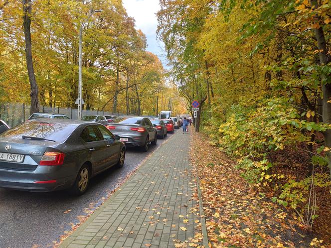 Wszystkich Świętych w Trójmieście. Zmiany w komunikacji