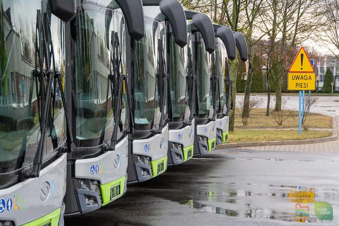 Nowe autobusy w Olsztynie. Komunikacja miejska coraz lepsza