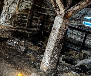 Zagłodził stado krów, a także kury