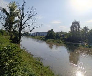 Stan rzeki Ślęza cały czas się podnosi. Przekroczono już stan alarmowy. Jak wygląda sytuacja?