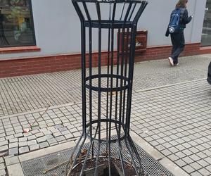 Katowice: ktoś ukradł drzewo w centrum miasta. Sprawą zajmie się policja