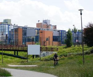 Lublin. „Filary porośnięte bluszczem” i nie tylko. Park Jana Pawła II w lipcowej odsłonie