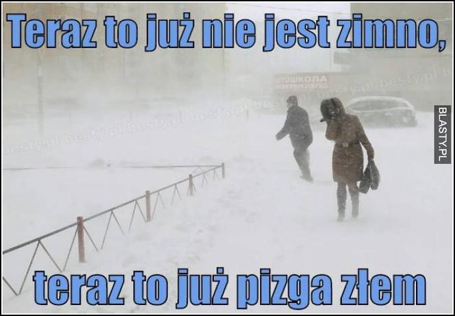 Mróz memy