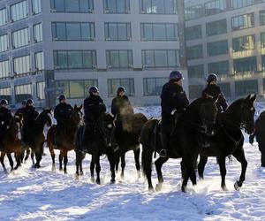 Warszawa: konie w policyjnej służbie