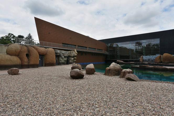 Afrykarium we Wrocławiu. Nowa inwestycja ZOO we Wrocławiu prawie skończona. GALERIA