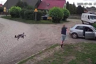 Złapał psa i rzucił nim o ziemię. Wstrząsające nagranie obiegło sieć
