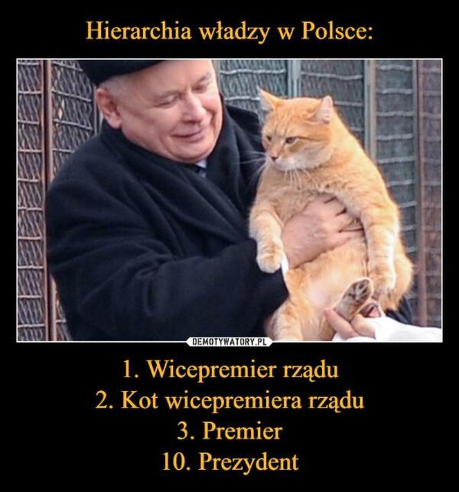 Najlepsze memy z okazji 75. urodzin Jarosława Kaczyńskiego. Te obrazki rozbawią cię do łez!