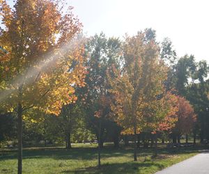 Park im. św. Jana Pawła II w jesiennych barwach