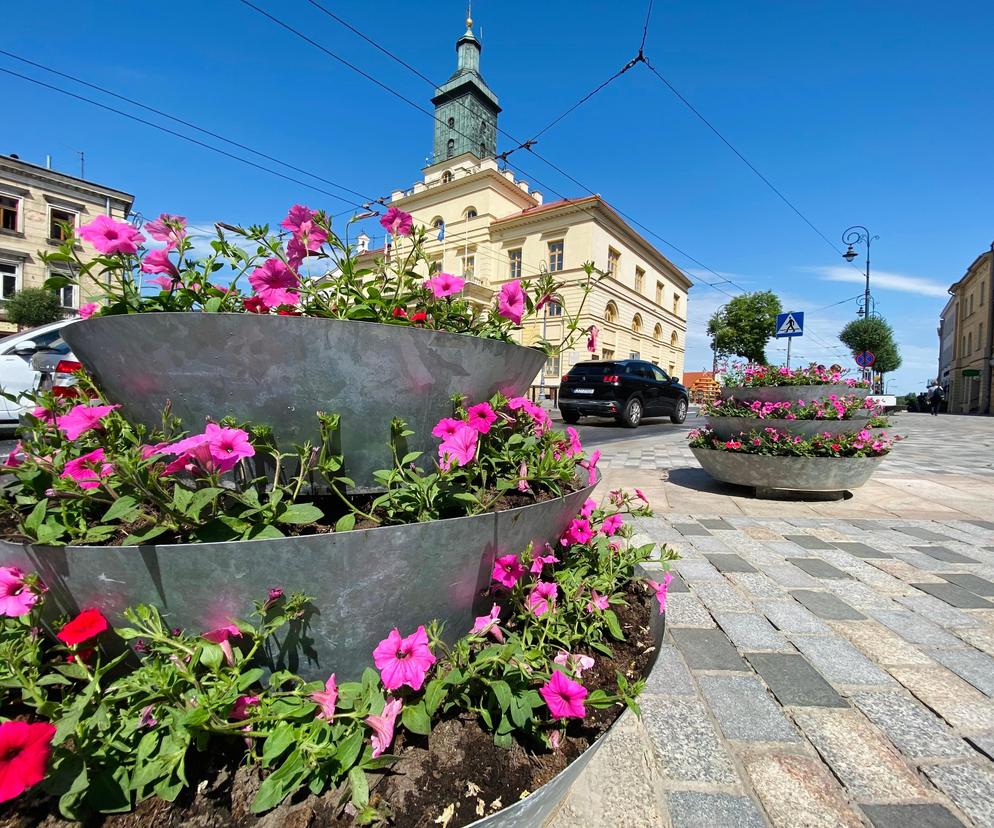 Lublin pokolorowały kwiaty. W mieście pojawiły się nowe rośliny