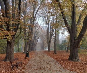 Zamojski Park jesienią