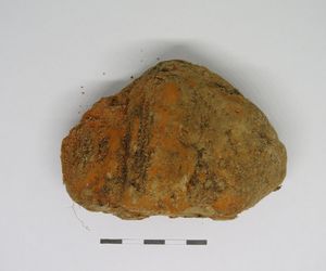 Odkrycie archeologiczne podczas budowy S19 Lublin-Lubartów