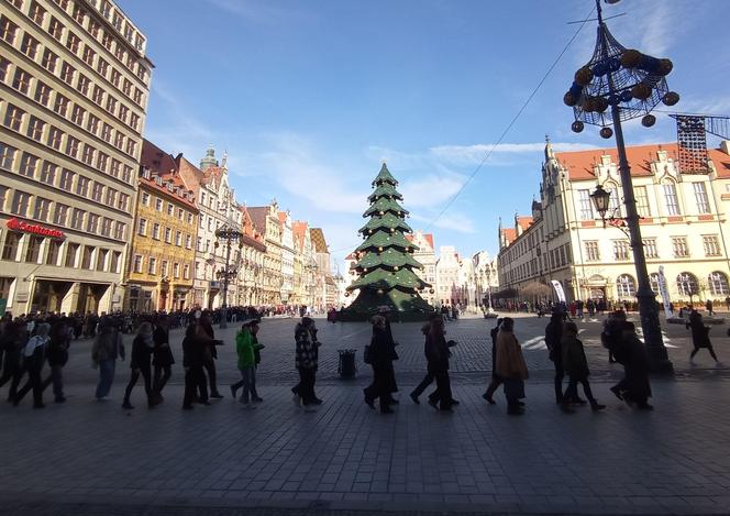 Maturzyści zawładnęli rynkiem we Wrocławiu. Po raz 23. zatańczyli Poloneza dla Fredry