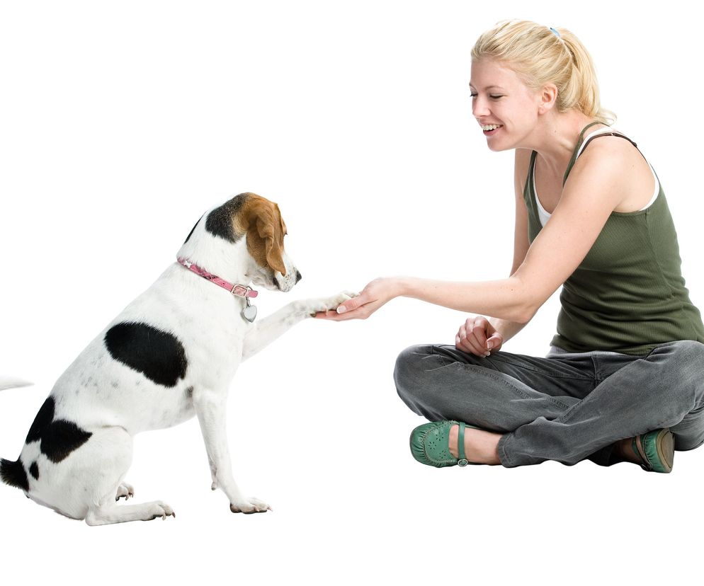 CHOROBY ODZWIERZĘCE (zoonozy)