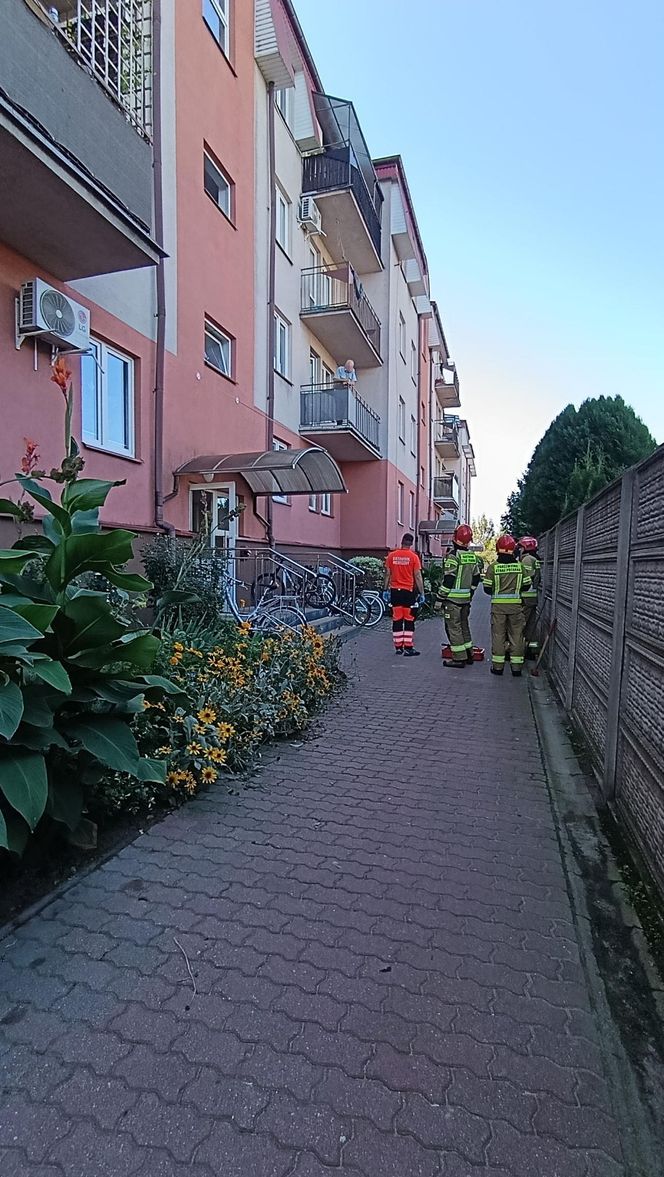 Niewiarygodne! 22-latek skoczył z drugiego piętra i uciekł do mieszkania. Co się stało w Siedlcach?