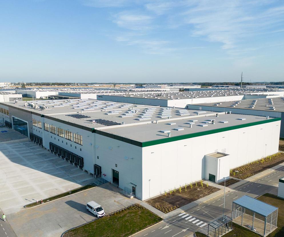 Prologis Park Wrocław V