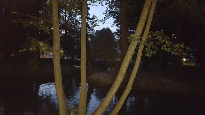 Odmulono staw w parku na osiedlu Słocina