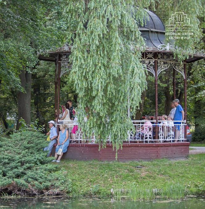 Można odpocząć w pięknym otoczeniu pilskiego parku słuchając największych przebojów Białego Anioła