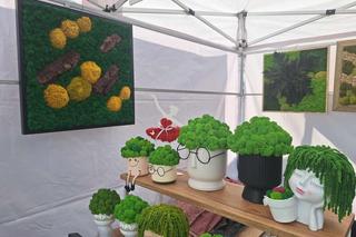 Zielona dzieła sztuki na tarnogórskim jarmarki wielkanocnym ZDJĘCIA