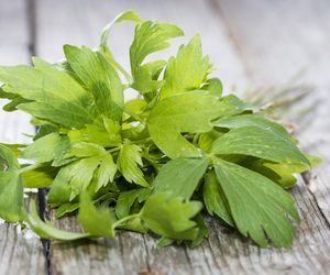 Domowe maggi w słoiku: pasta lubczykowa na zimę, która robi robotę w każdej zupie!
