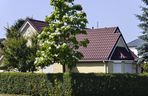 Amerykańska ulica we Wrocławiu istnieje naprawdę. Tak wygląda Tunelowa