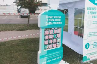 Czyściochy w Łomży 5