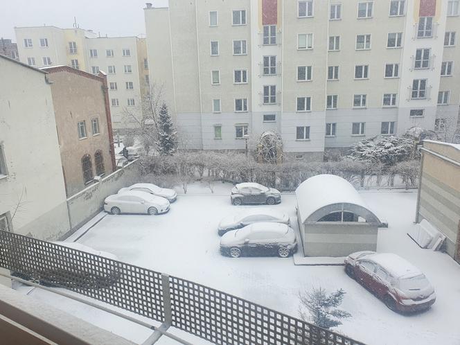 Śnieżyca w Toruniu. Biały krajobraz za oknami