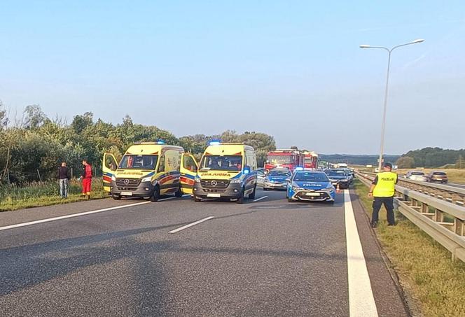 Śmiertelny wypadek na S8 pod Wrocławiem. Dwóch pasażerów volvo zginęło w zderzeniu z fordem [ZDJĘCIA]