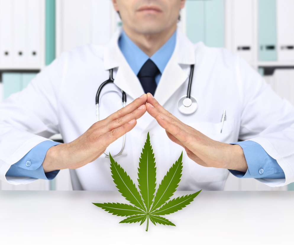 Marihuana medyczna w tym roku w polskich aptekach