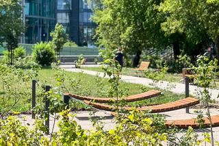 Nowe parki kieszonkowe w Warszawie już wkrótce
