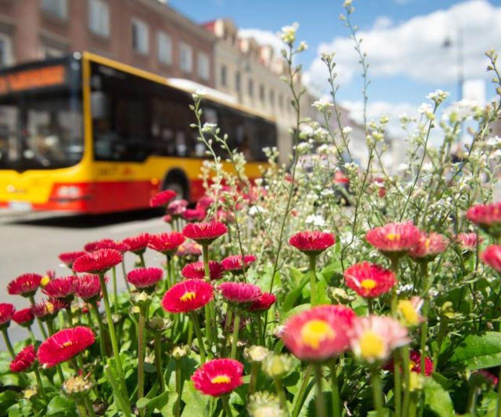 Cięcia w komunikacji miejskiej w Warszawie. Te linie przestaną kursować. ZTM ogłasza