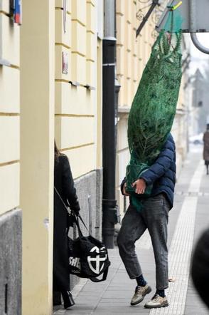 Julia Wieniawa i Nikodem Rozbicki kupili choinkę