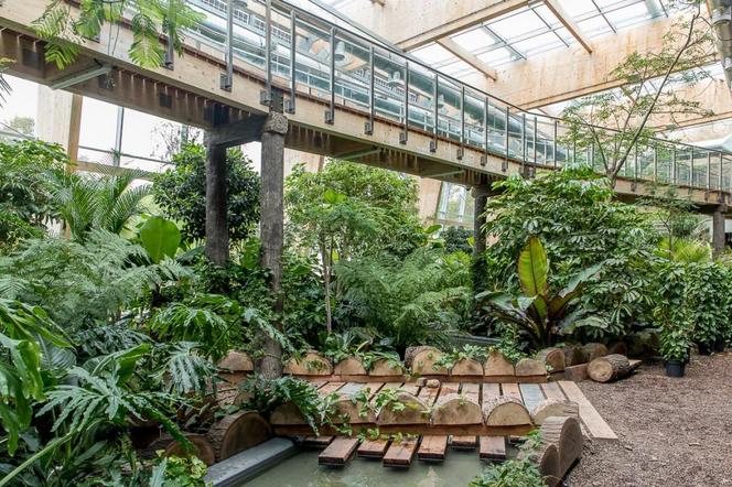 Pawilon lasu deszczowego w Śląskim Ogrodzie Zoologicznym w Chorzowie