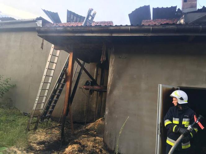 Pożar magazynu w Wielopolu! Z ogniem walczyło 41 strażaków 