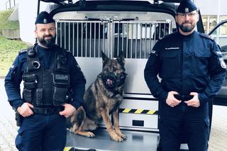 Policyjne psy służbowe będą podróżować w komfortowych warunkach