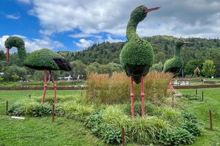 Polska Grecja w sercu uzdrowiska. Śródziemnomorski klimat zachwyci kuracjuszy